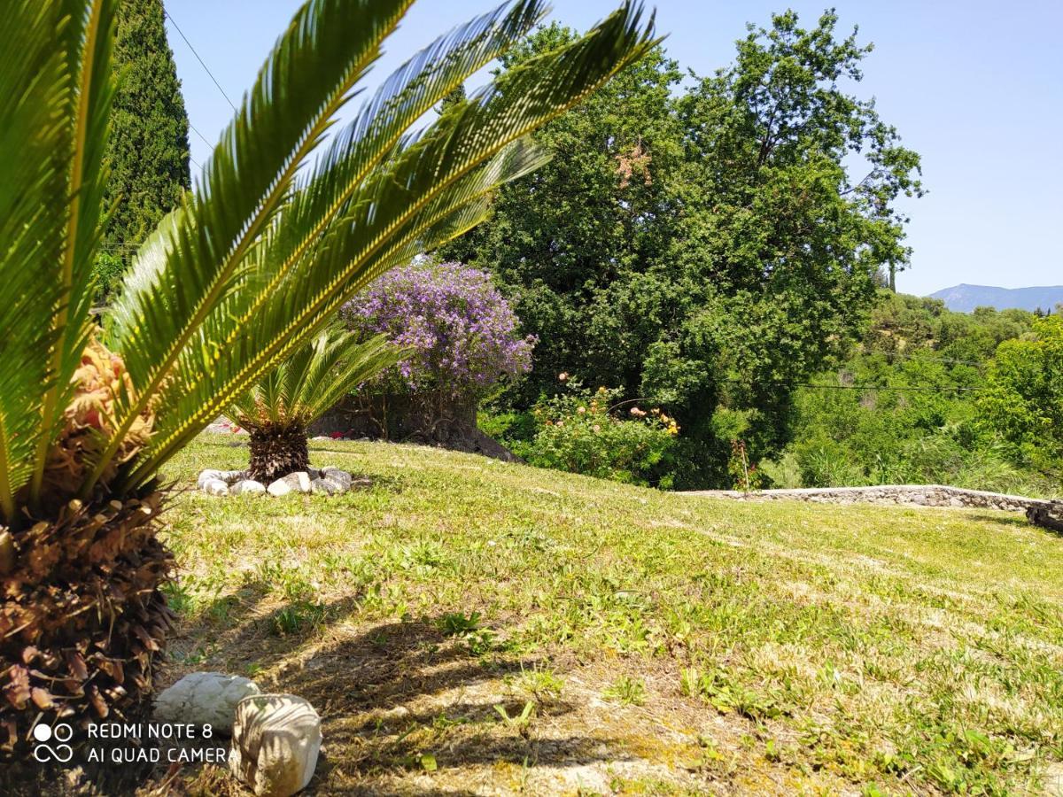 Corfu Villa Galini Potamos  Ngoại thất bức ảnh