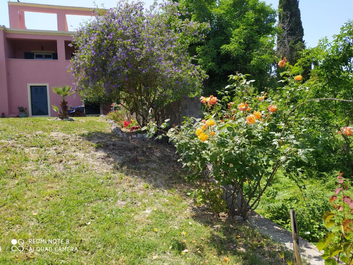 Corfu Villa Galini Potamos  Ngoại thất bức ảnh